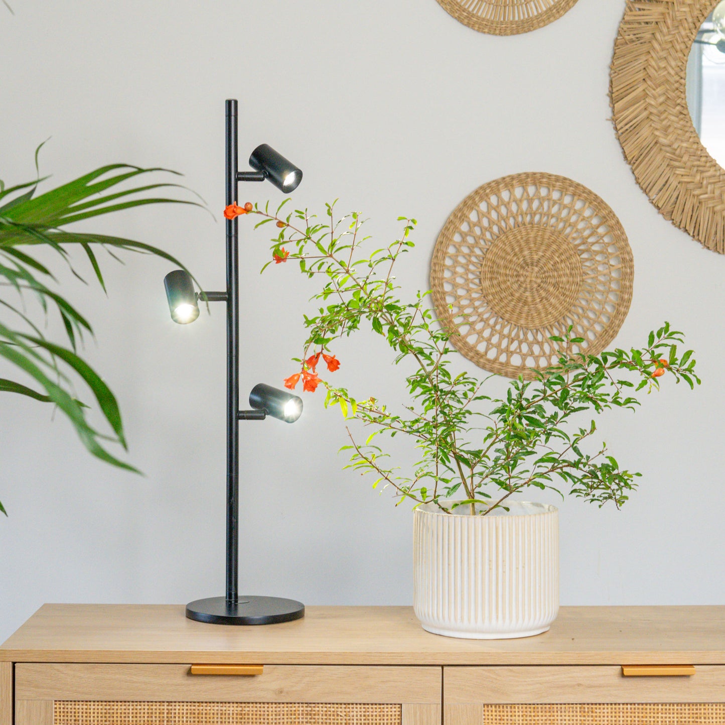 FYTO Smart - Grow Lamp (Graphite)