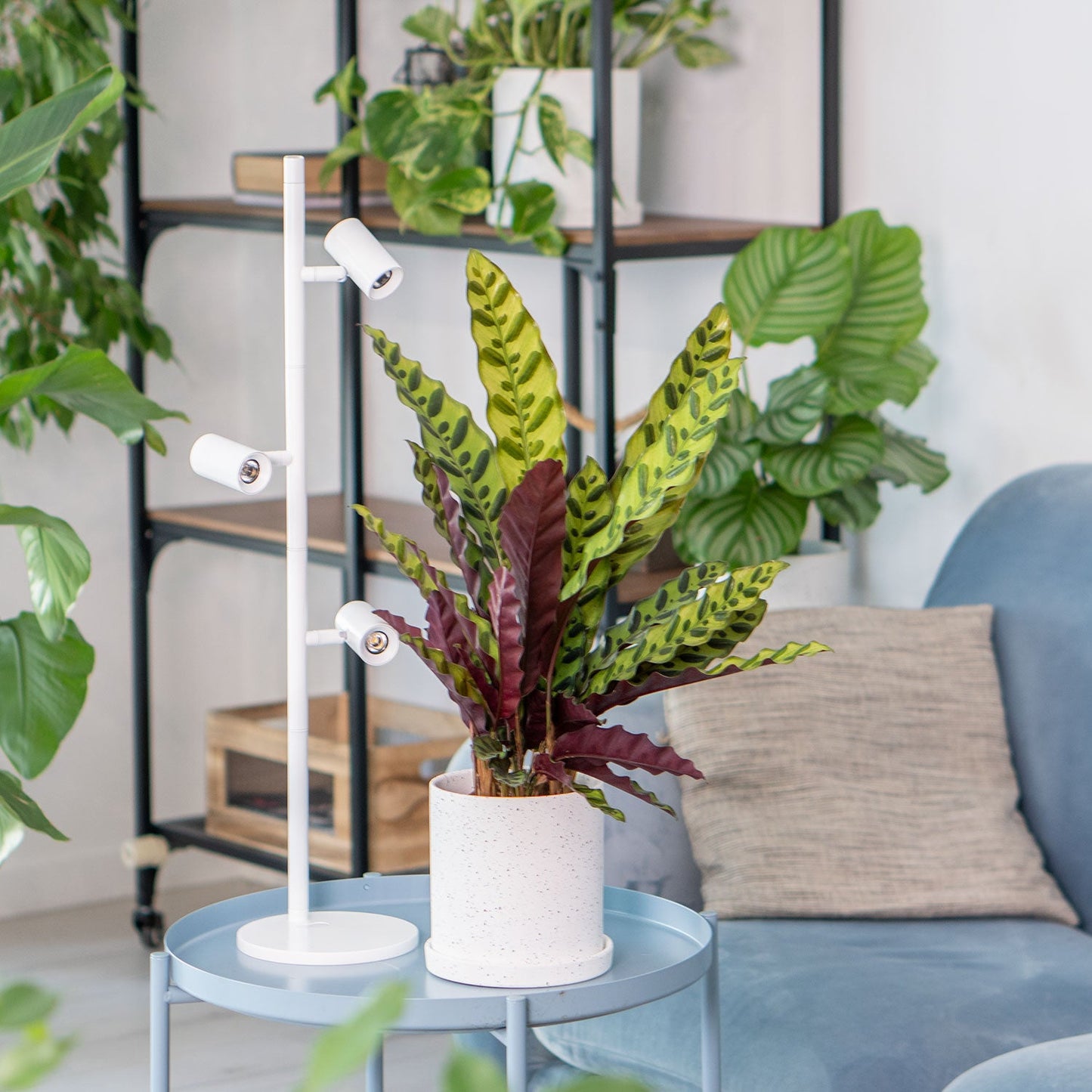FYTO Smart - Grow Lamp (White)