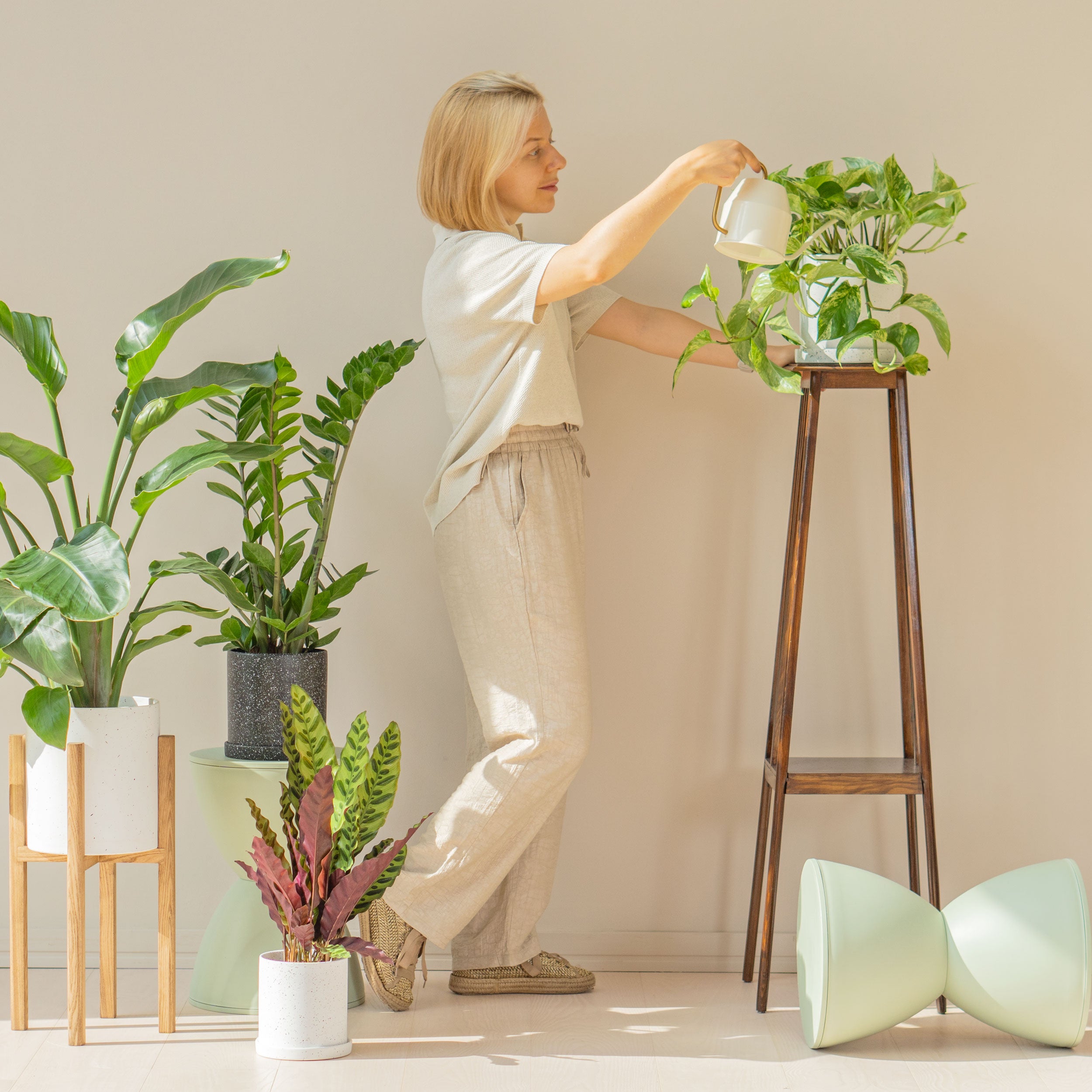 Spring Care for Houseplants – Planteia