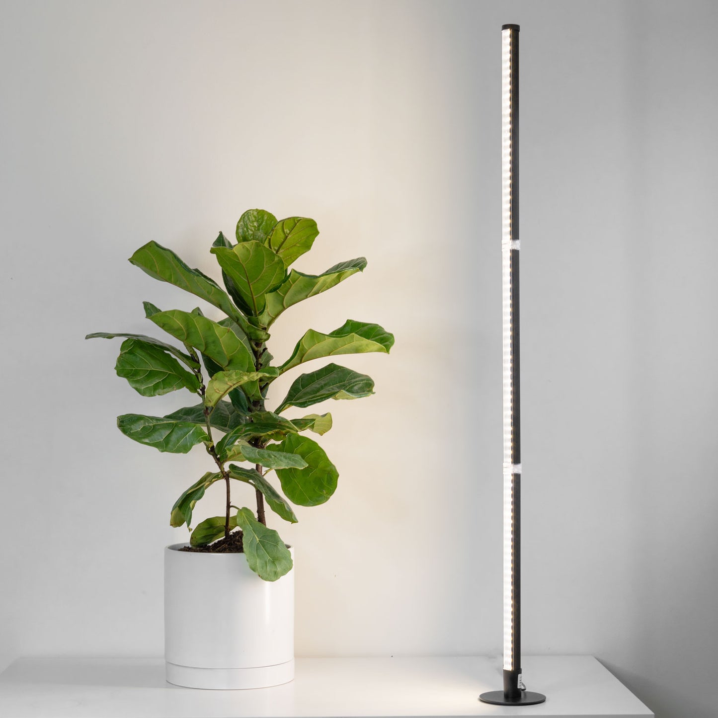 FYTO Rise - Grow Lamp