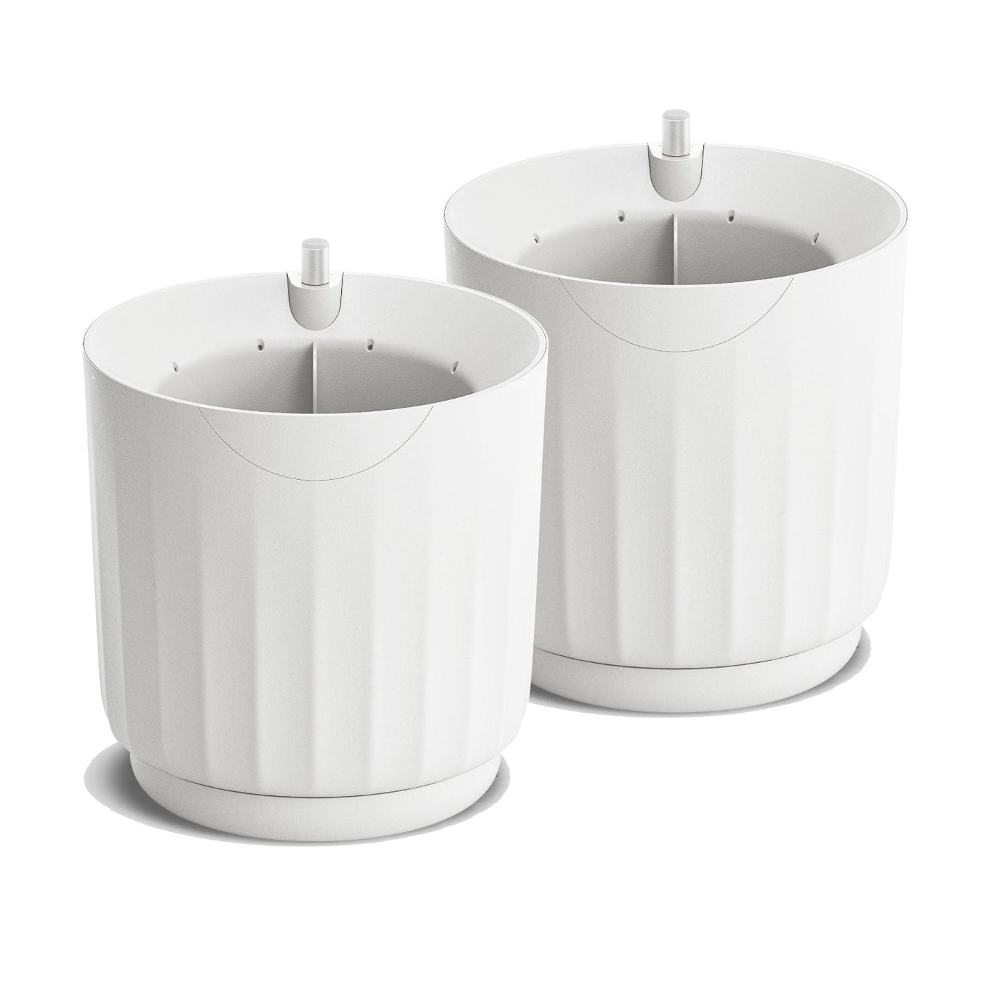 LYF (White) Х 2 - for a plant couple